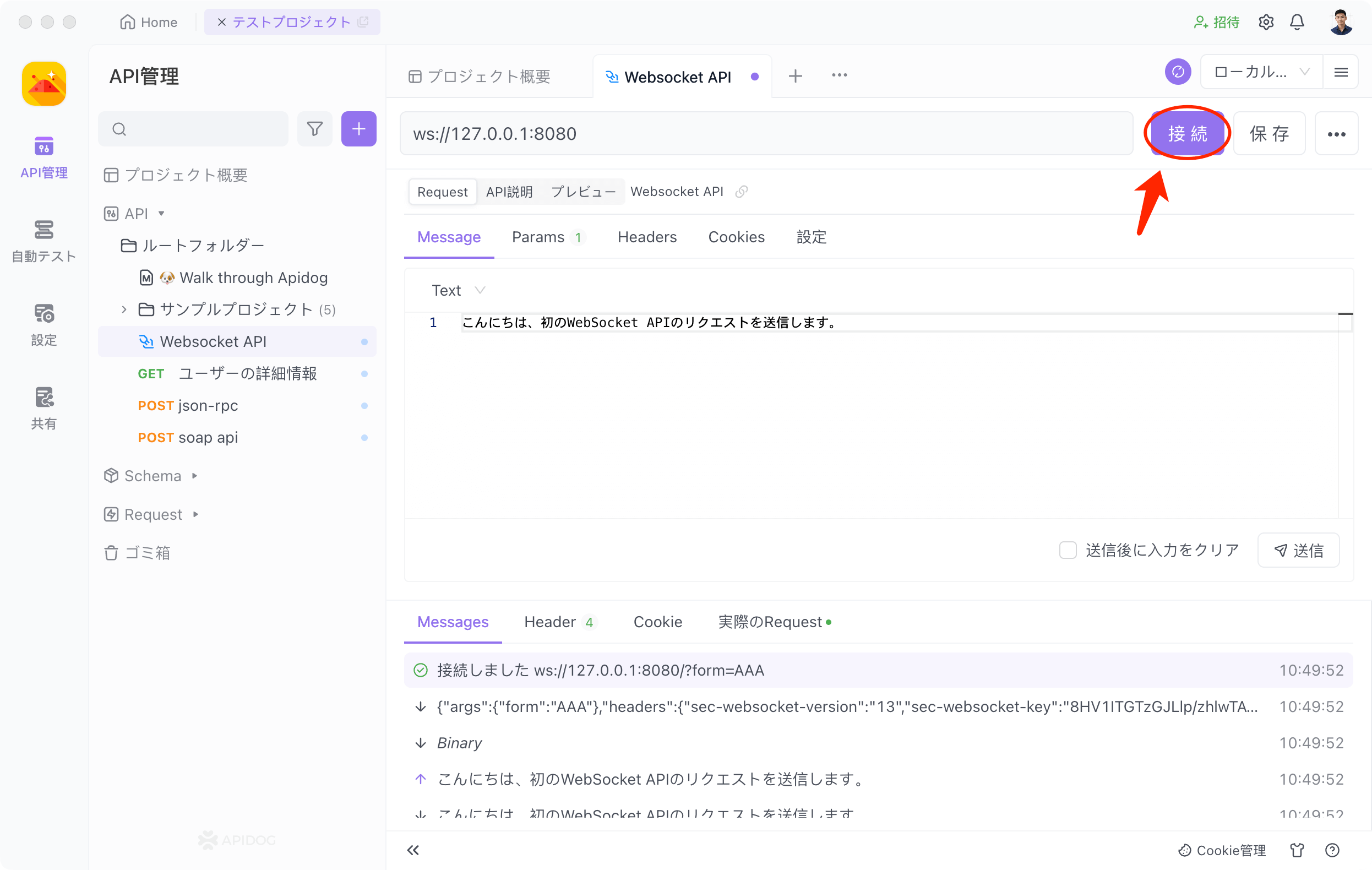 WebSocketサーバーに接続