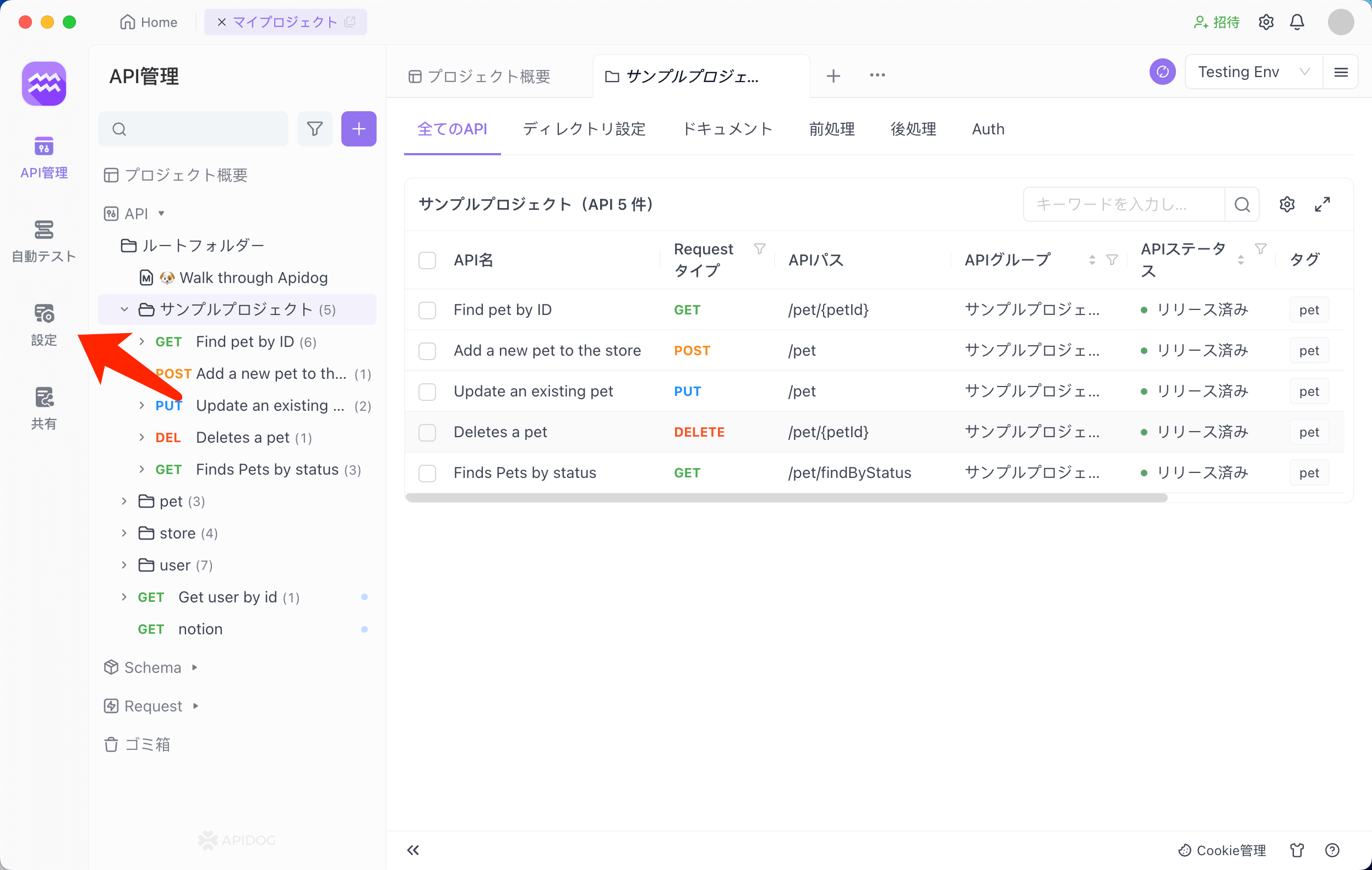 Apidogのプロジェクト設定を開く