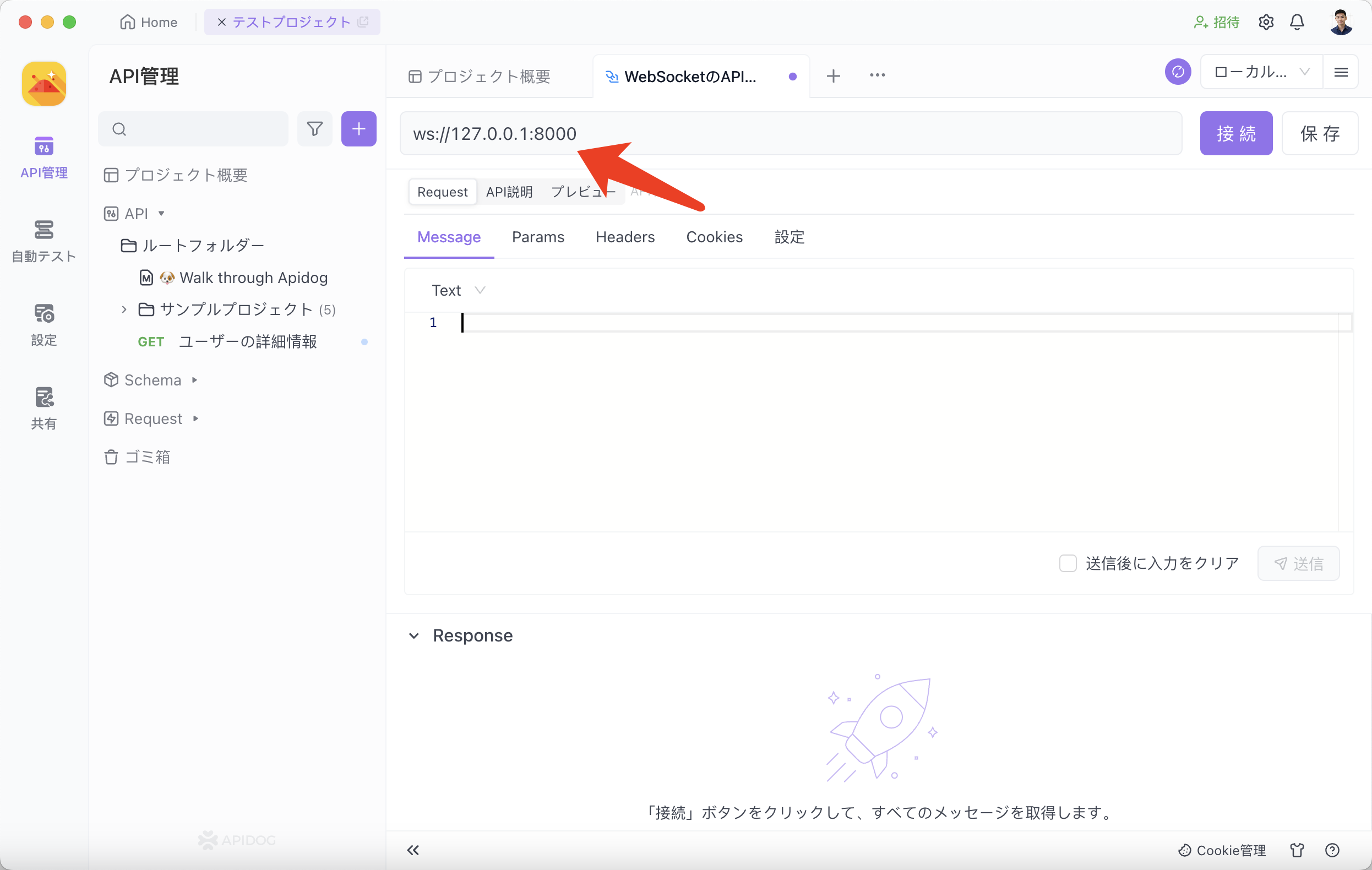 ApidogでWebsocketをテスト