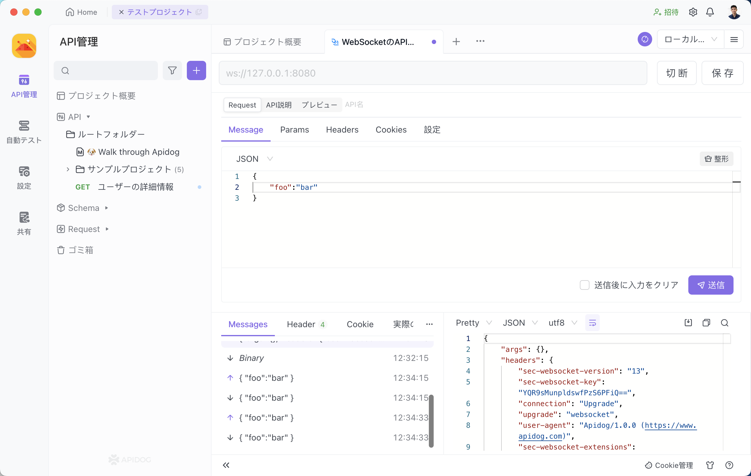 ApidogでWebSocket APIの送受信をする