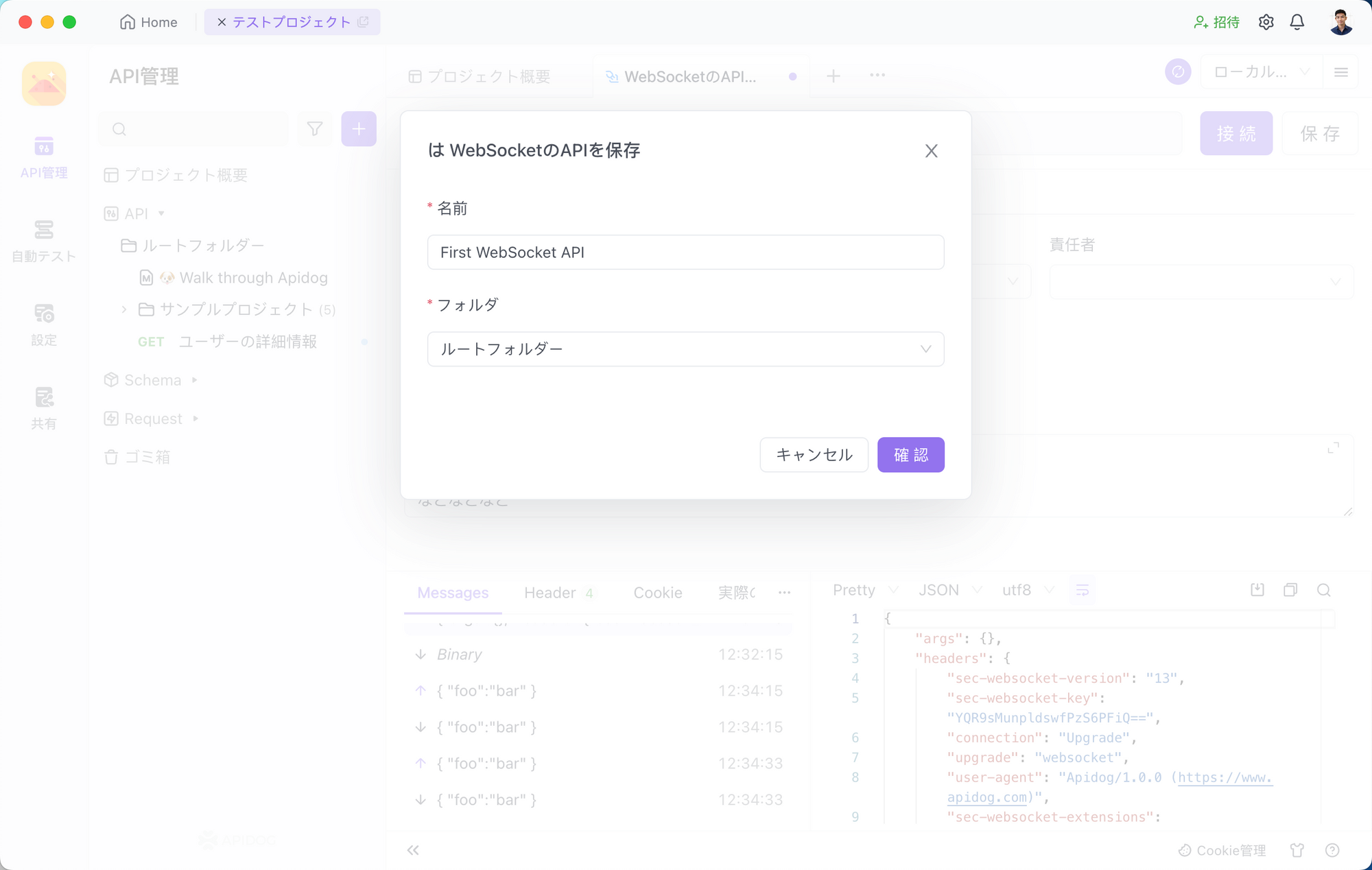 ApidogでWebSocket APIを保存