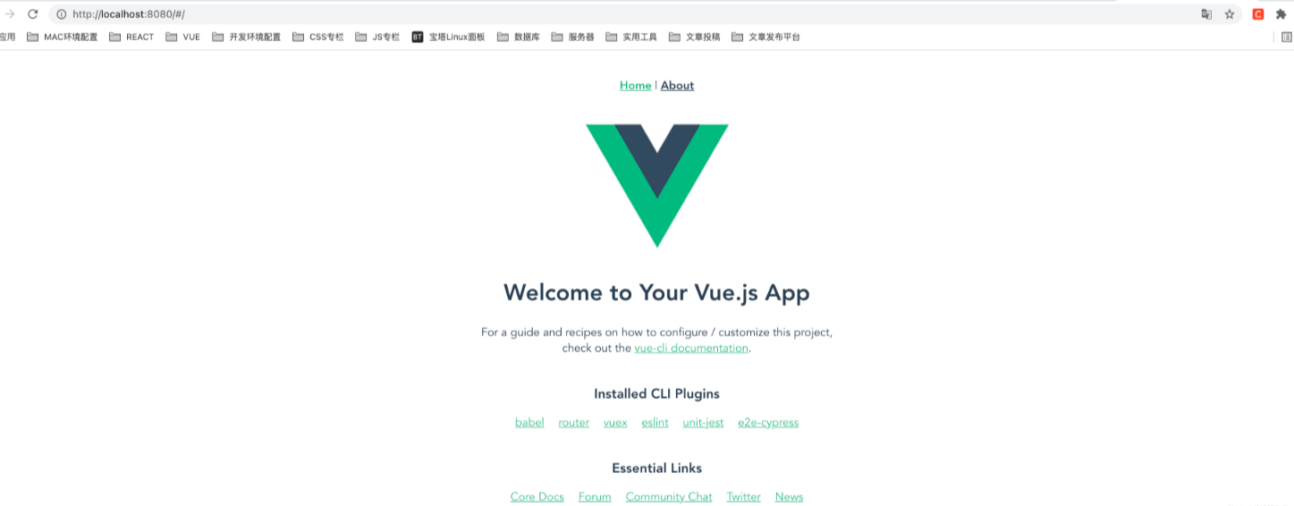 A New Vue2 Project