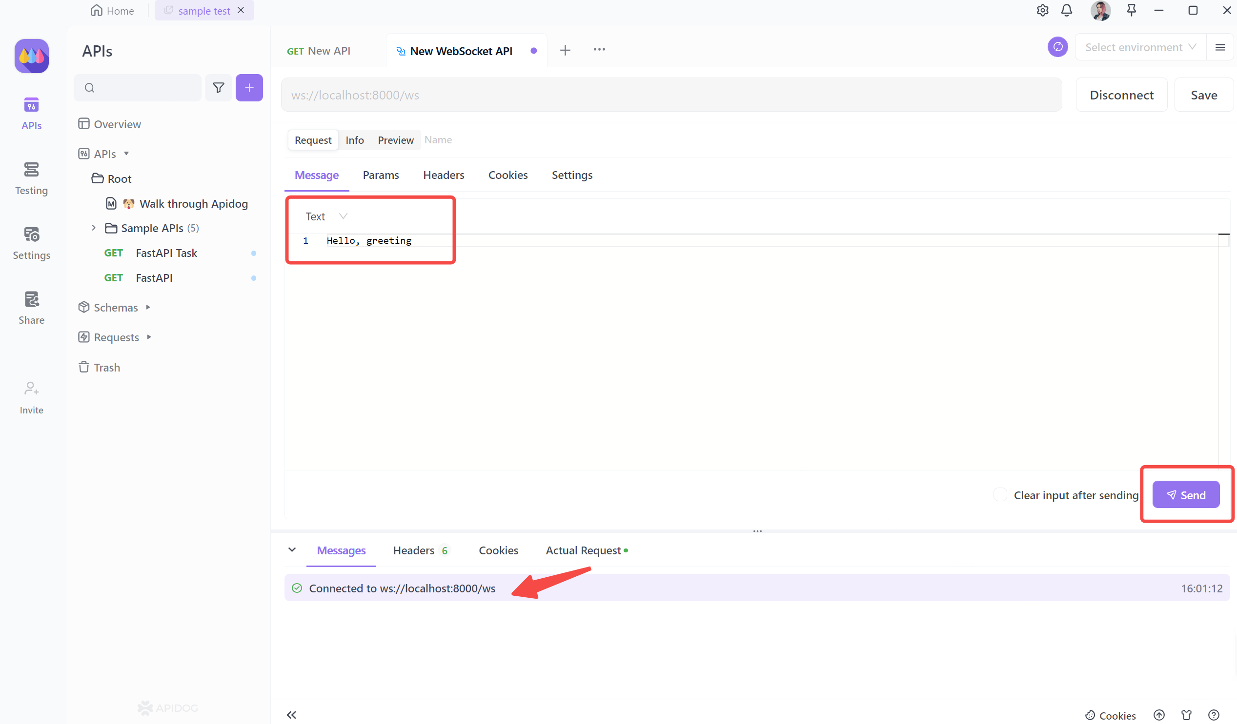 Connect WebSocket in Apidog