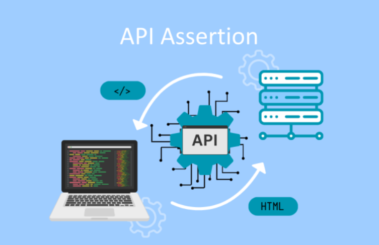 API Assertions