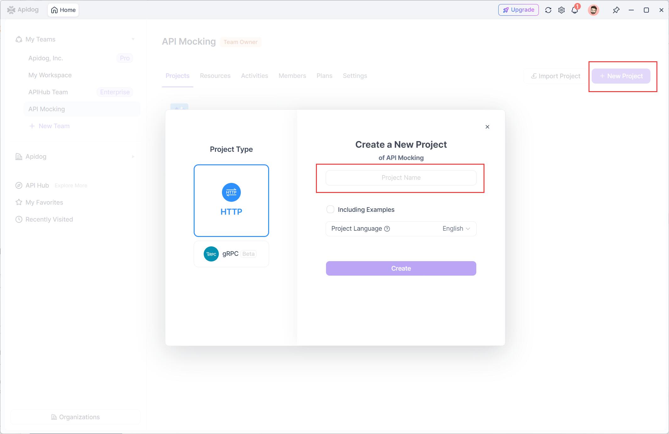 Creating a new API project at Apidog