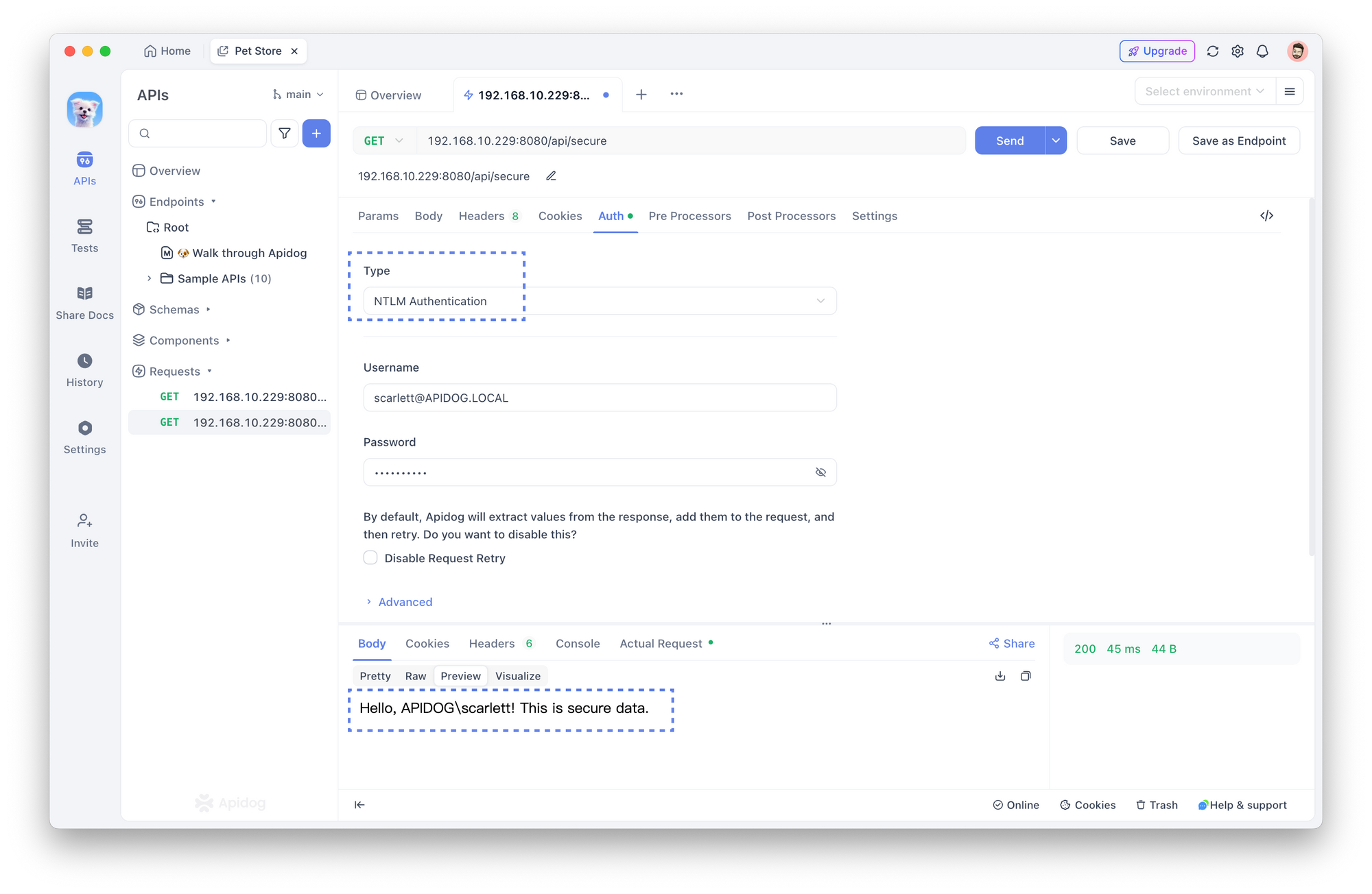 Using Apidog to Test NTLM-Authenticated APIs