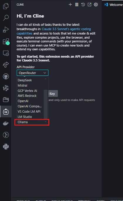 Set the API Provider to “Ollama”.