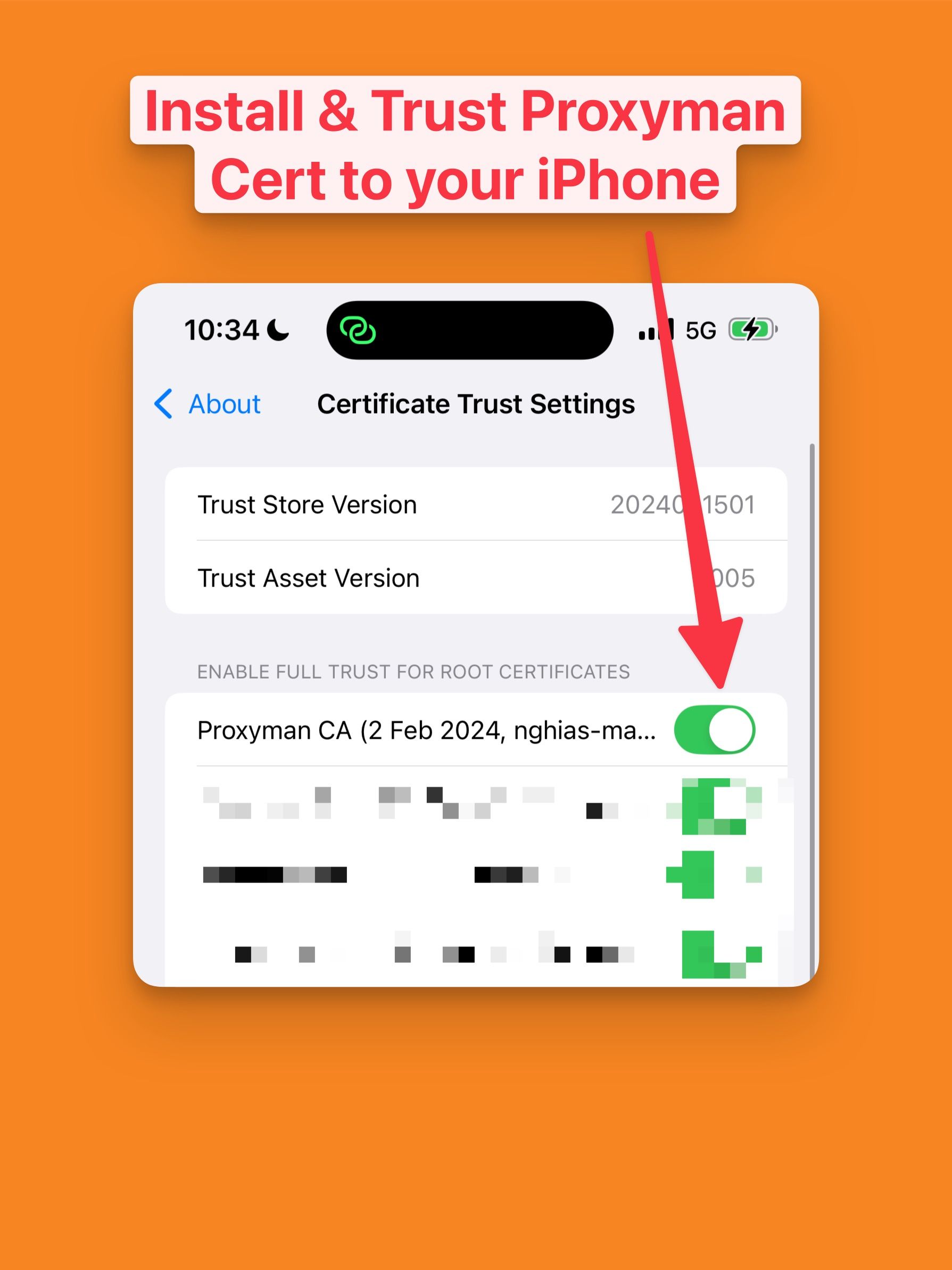 Trusting the certificate on your device