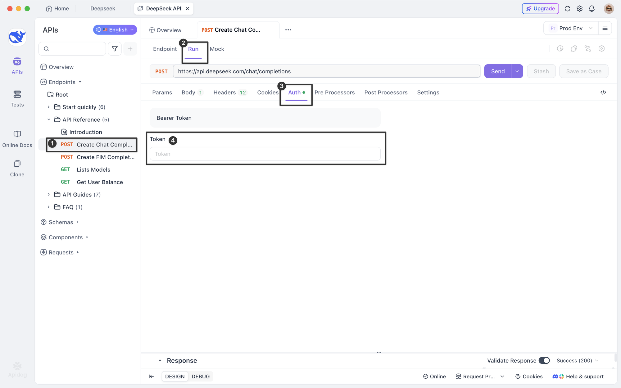 paste the API Key into the token 