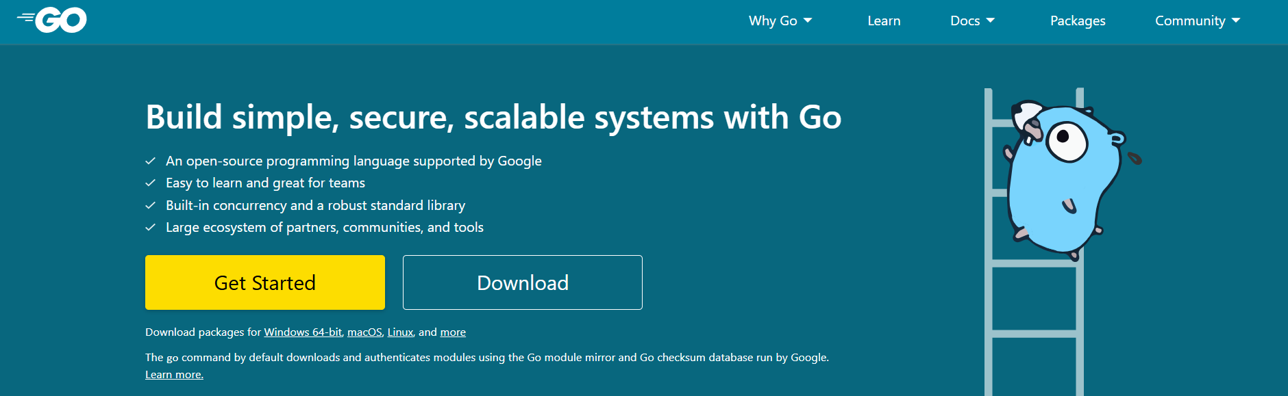 install golang image