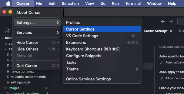 cursor settings