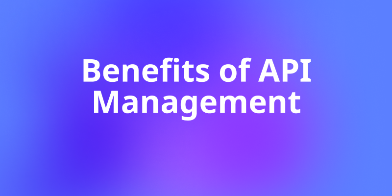Benefits of API Management: Why Every Business Needs It
