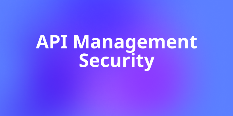 API Management Security: A Complete Guide