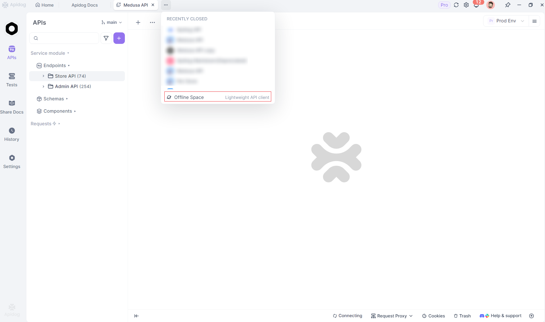 Apidog 오프라인 스페이스 활성화