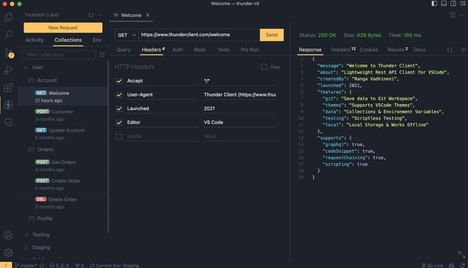 Thunder Client - VS Code의 오프라인 API 테스트 확장 프로그램