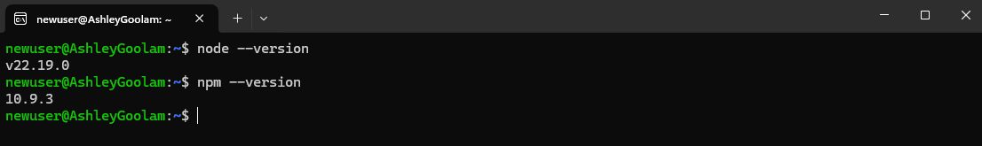 Verify node and npm Installation