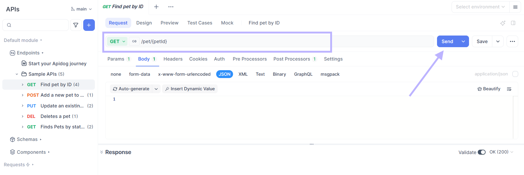 Send Test Requests in apidog