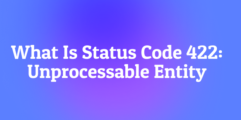 What Is Status Code 422: Unprocessable Entity? The Semantic Validator