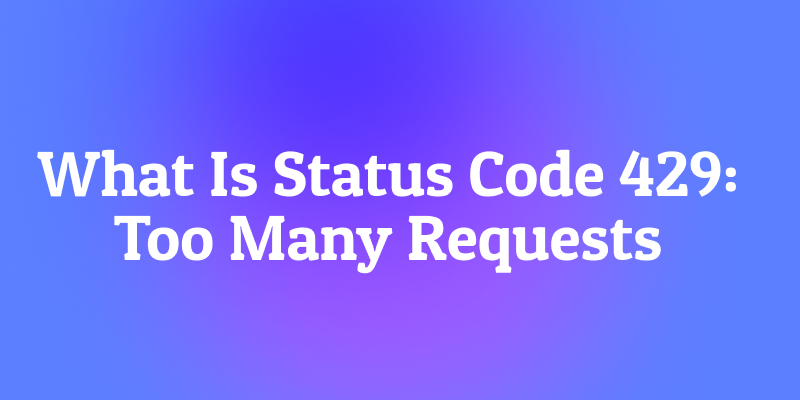 What Is Status Code 429: Too Many Requests? The Speed Bump of the Internet