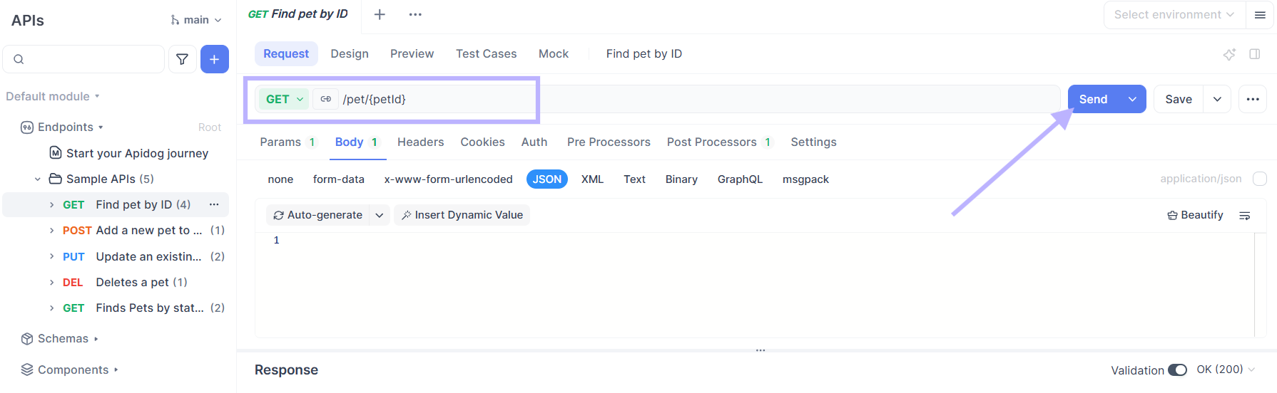Execute Test Requests on Apidog