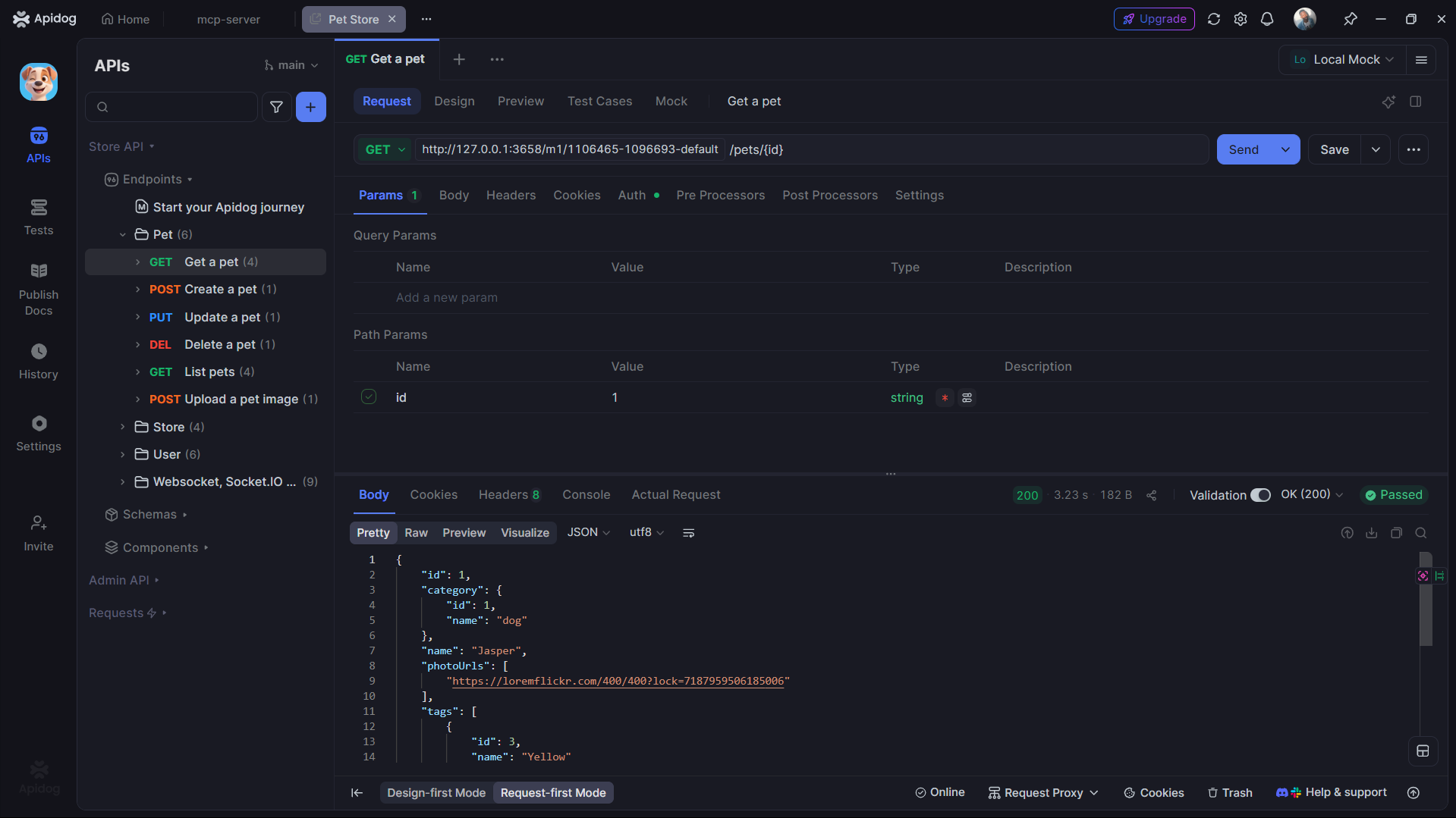 opening a project in apidog