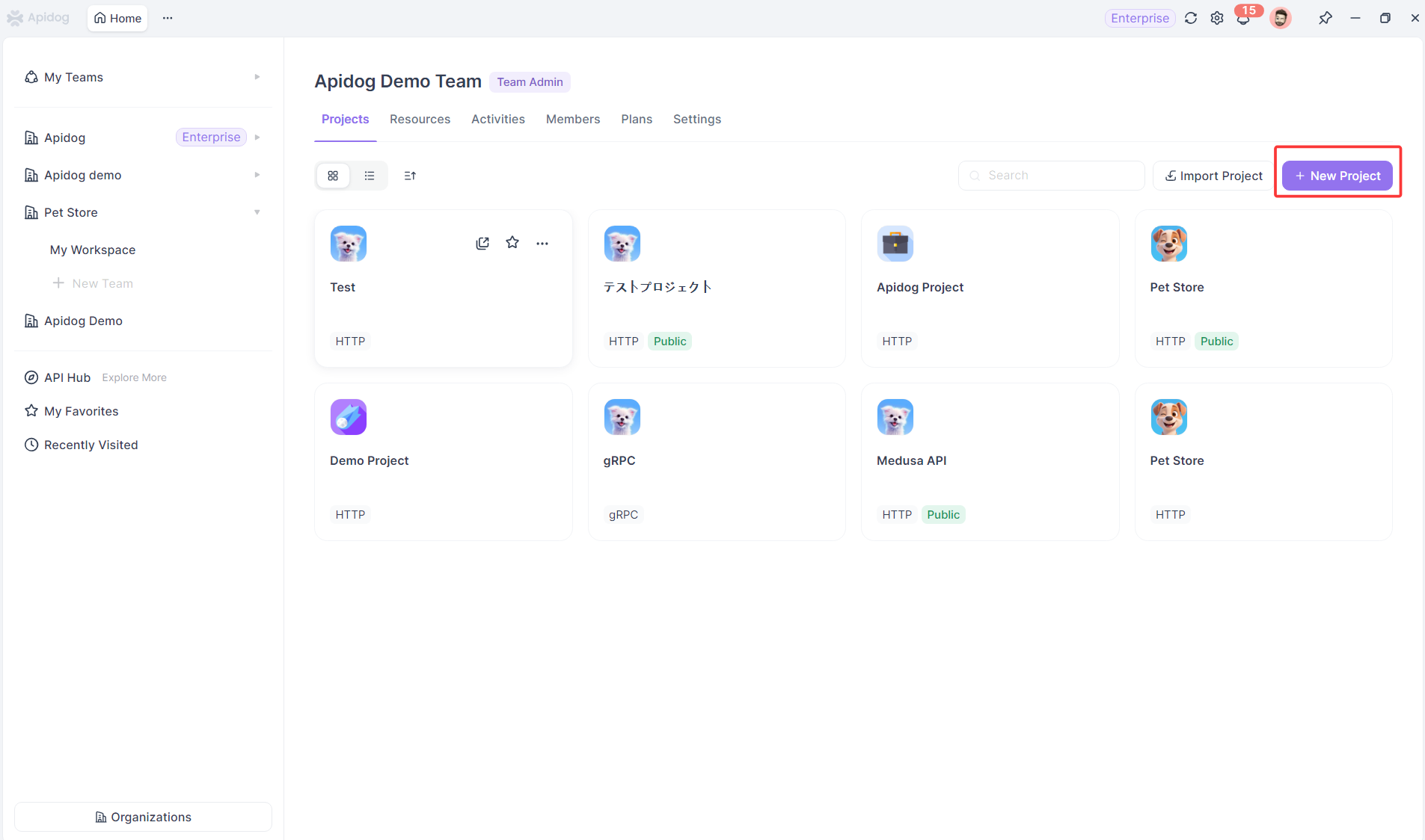 creating a new Apidog project