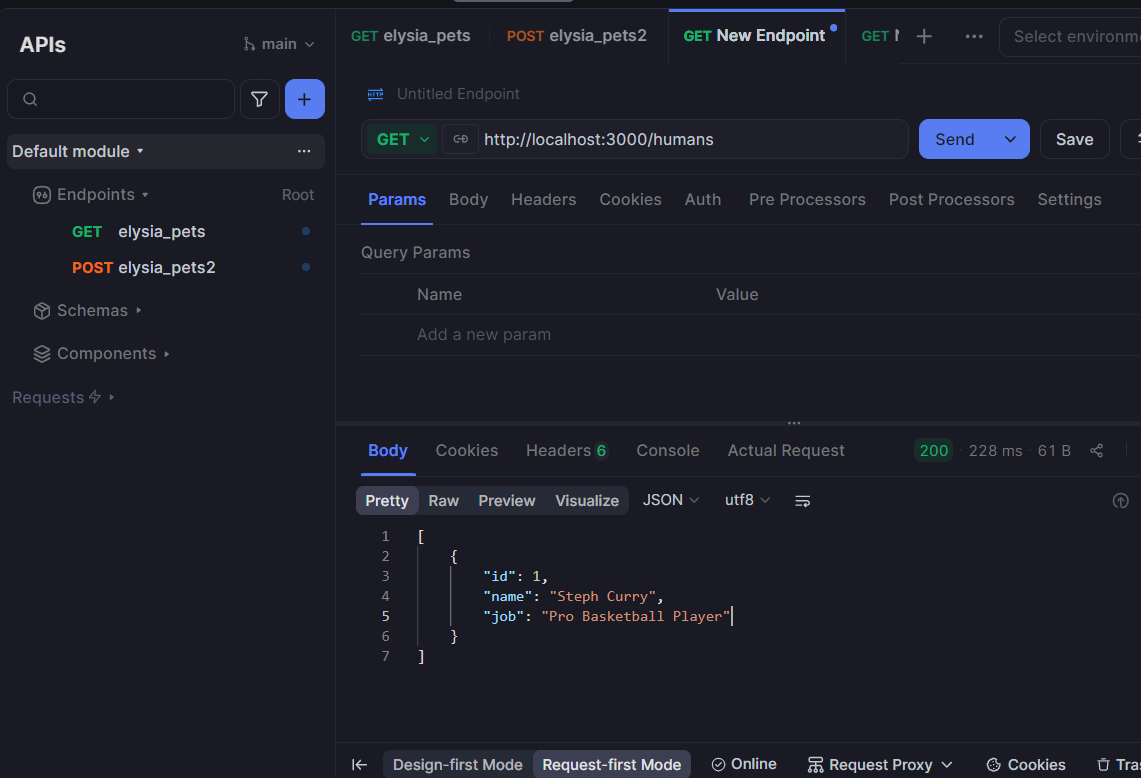making a get request in apidog with postgrest