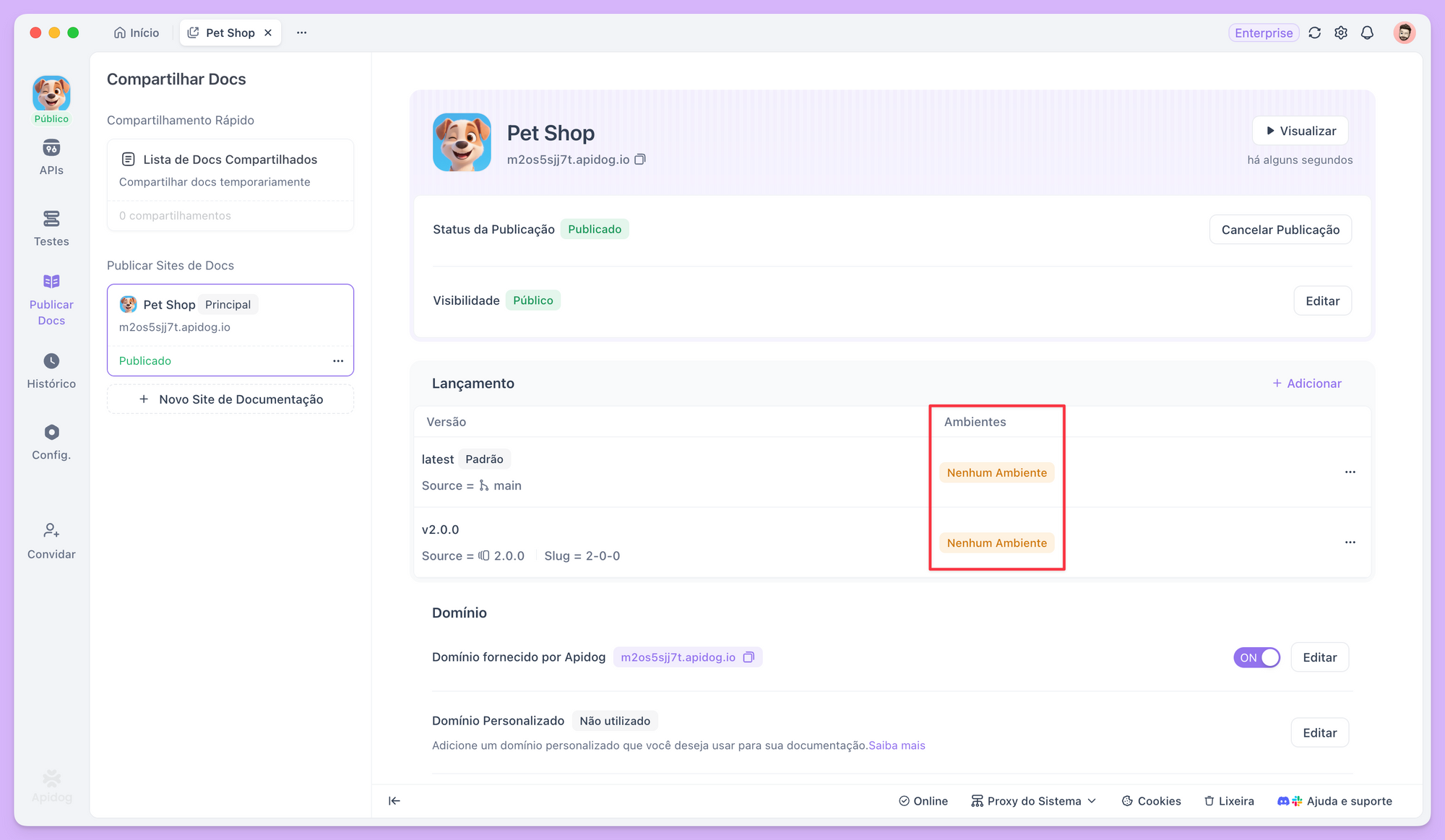 configurar ambiente de execução para documentação de API online no Apidog
