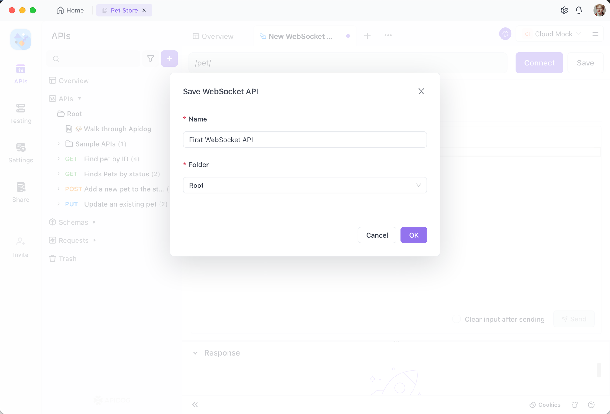 Save and Document WebSocket API