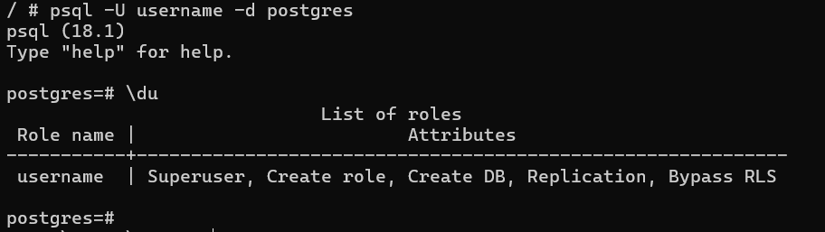 view postgres docker role name