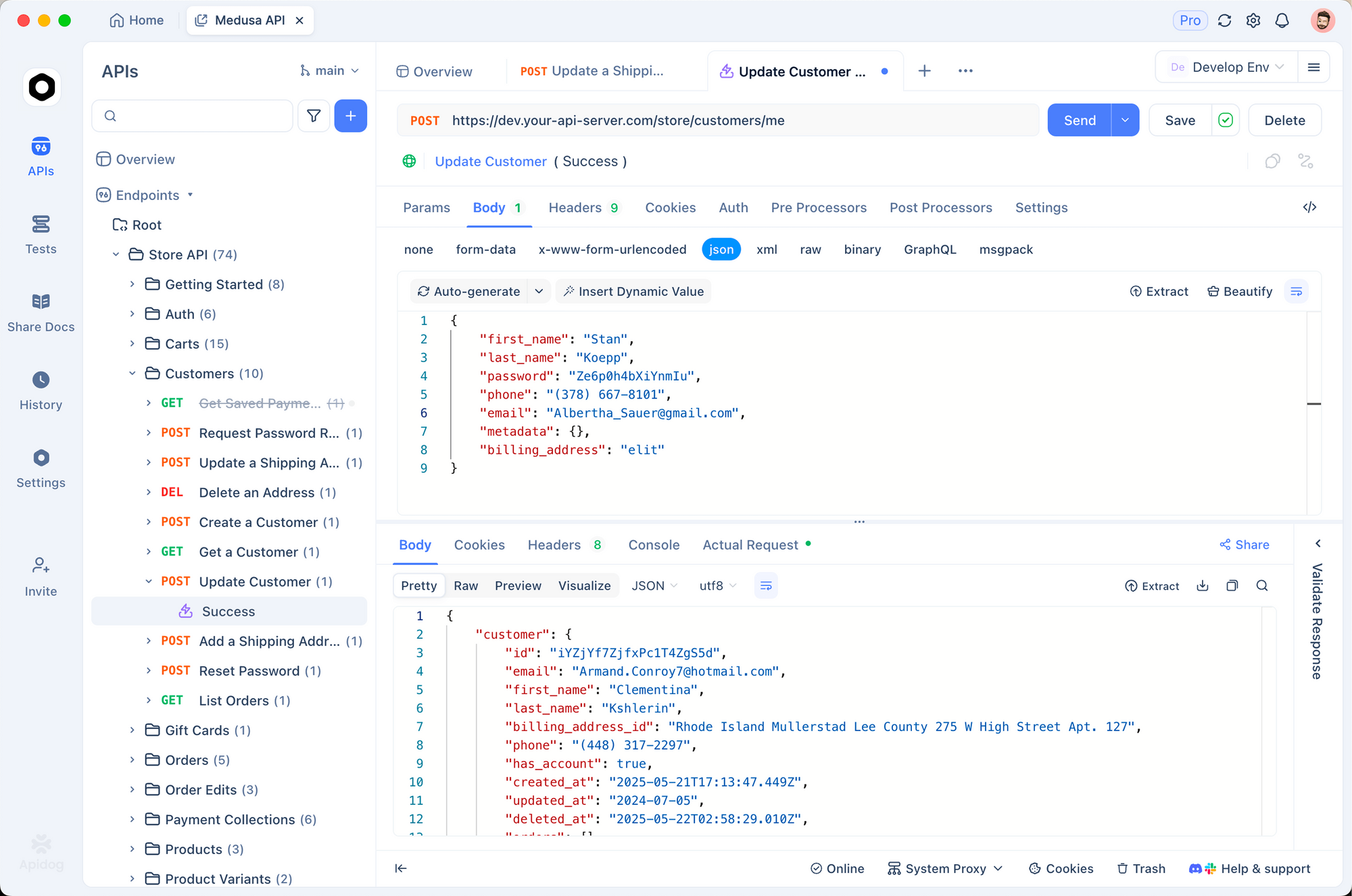 APIテストのためのApidogインターフェース