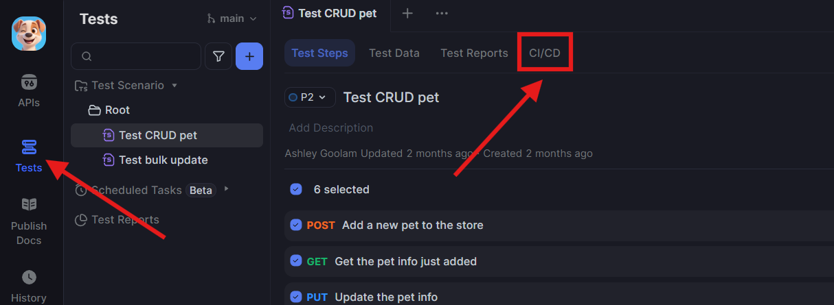ci/cd in apidog