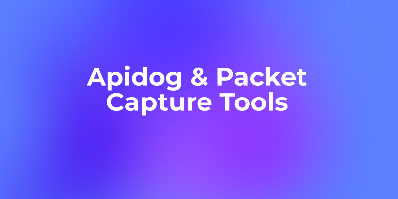 ApidogとパケットキャプチャツールでAPIドキュメントを素早く生成する方法