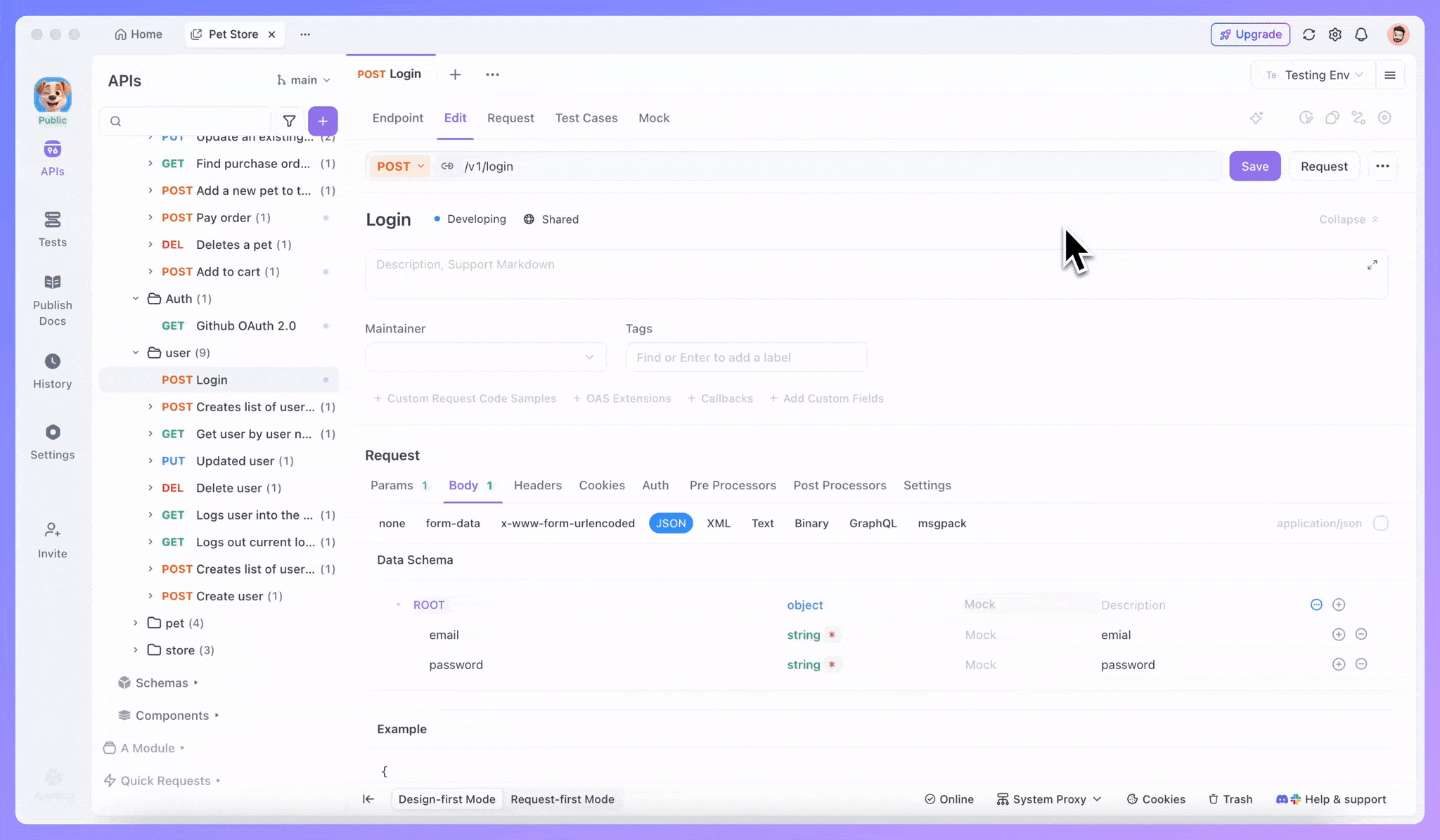 using API documentation completeness check in Apidog