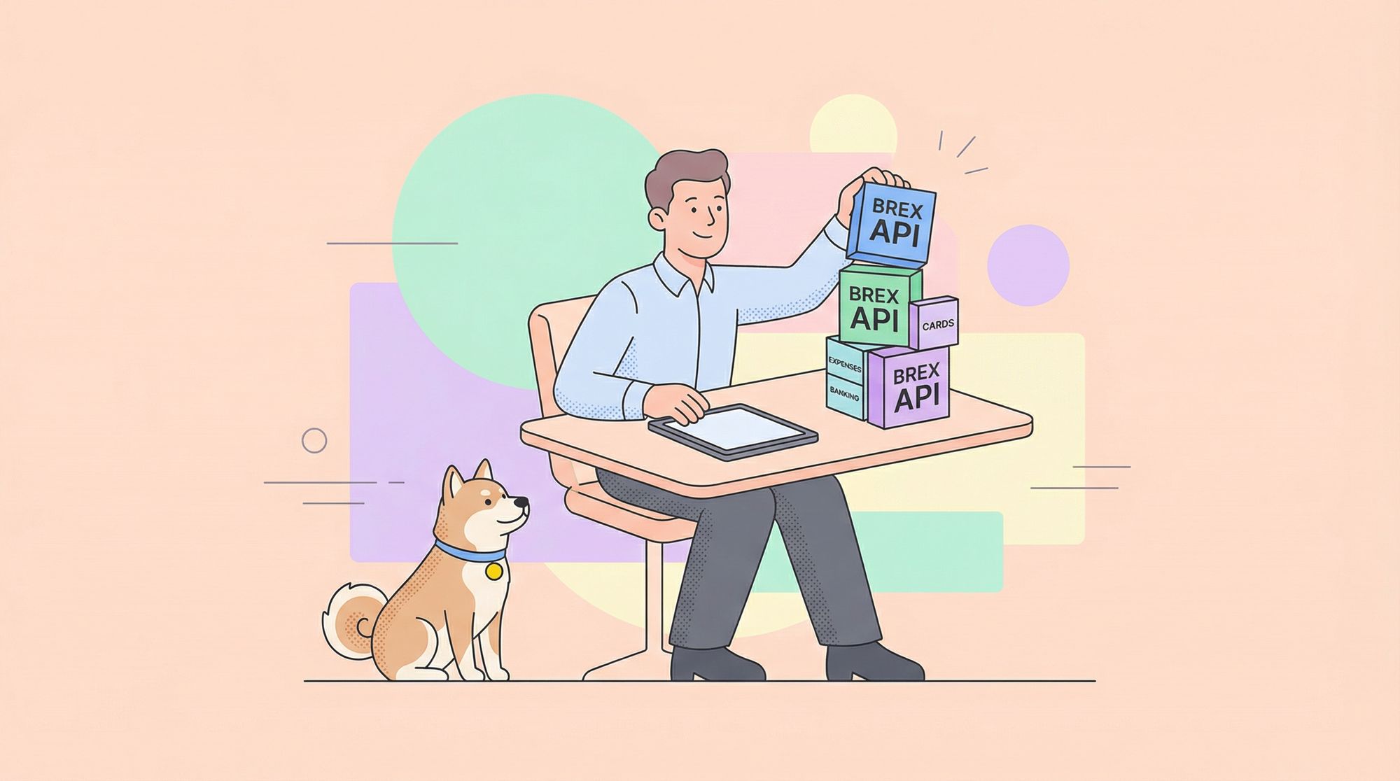 How to Access and Use the Brex API?