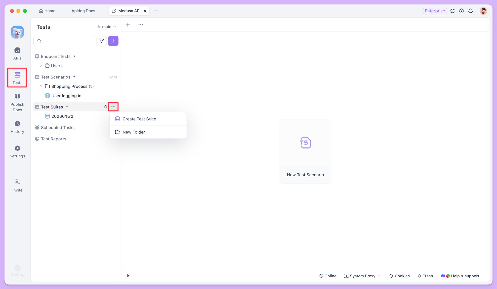 creating a new test suite in Apidog