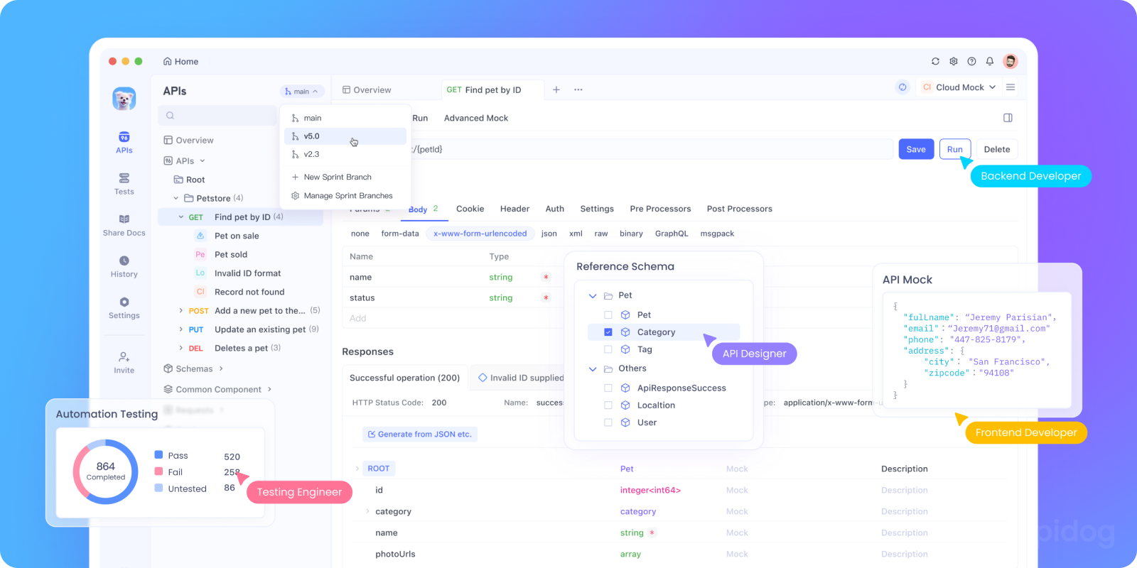 Apidog UI