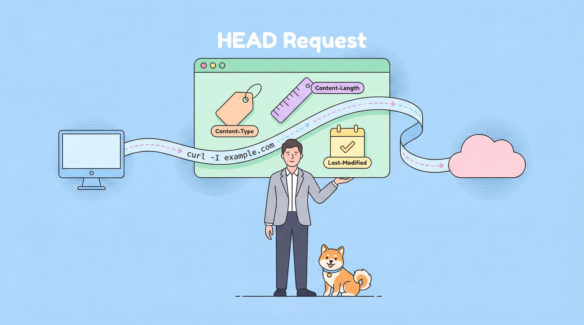 What is a cURL HEAD Request?