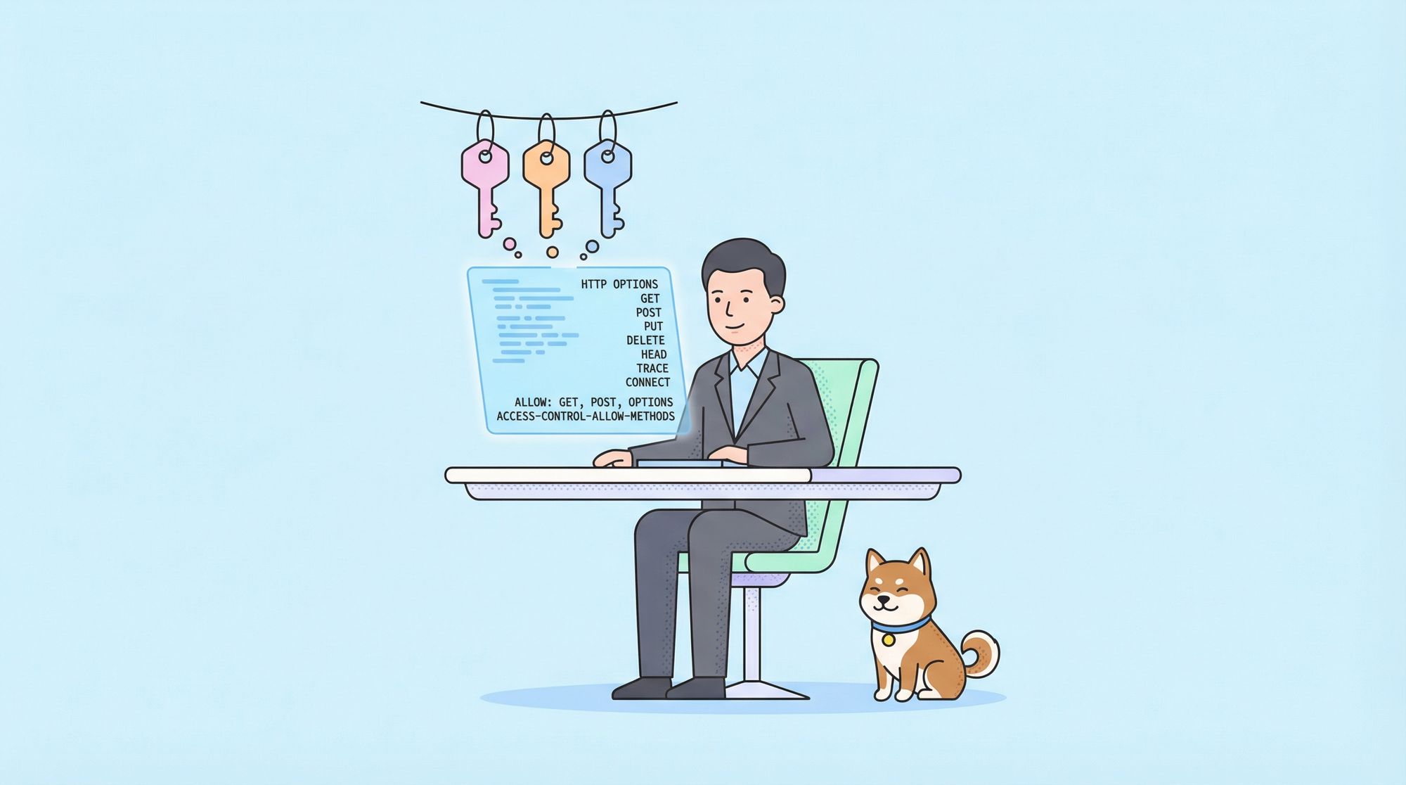 How to use HTTP OPTIONS Method?