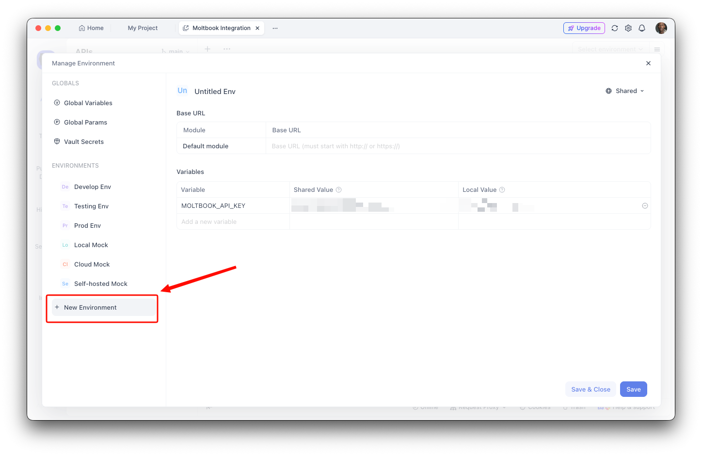  Configure Environment Variables in Apidog