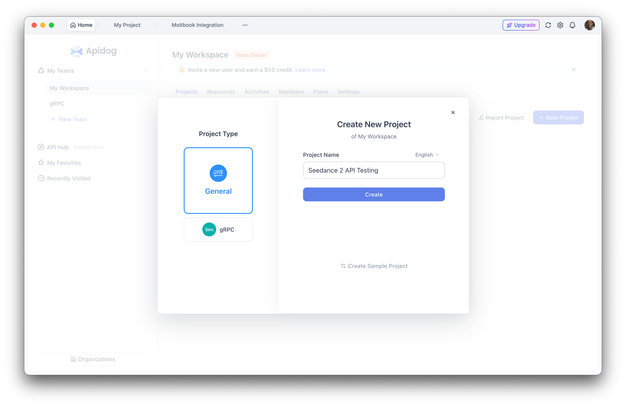 Create a New Project on apidog