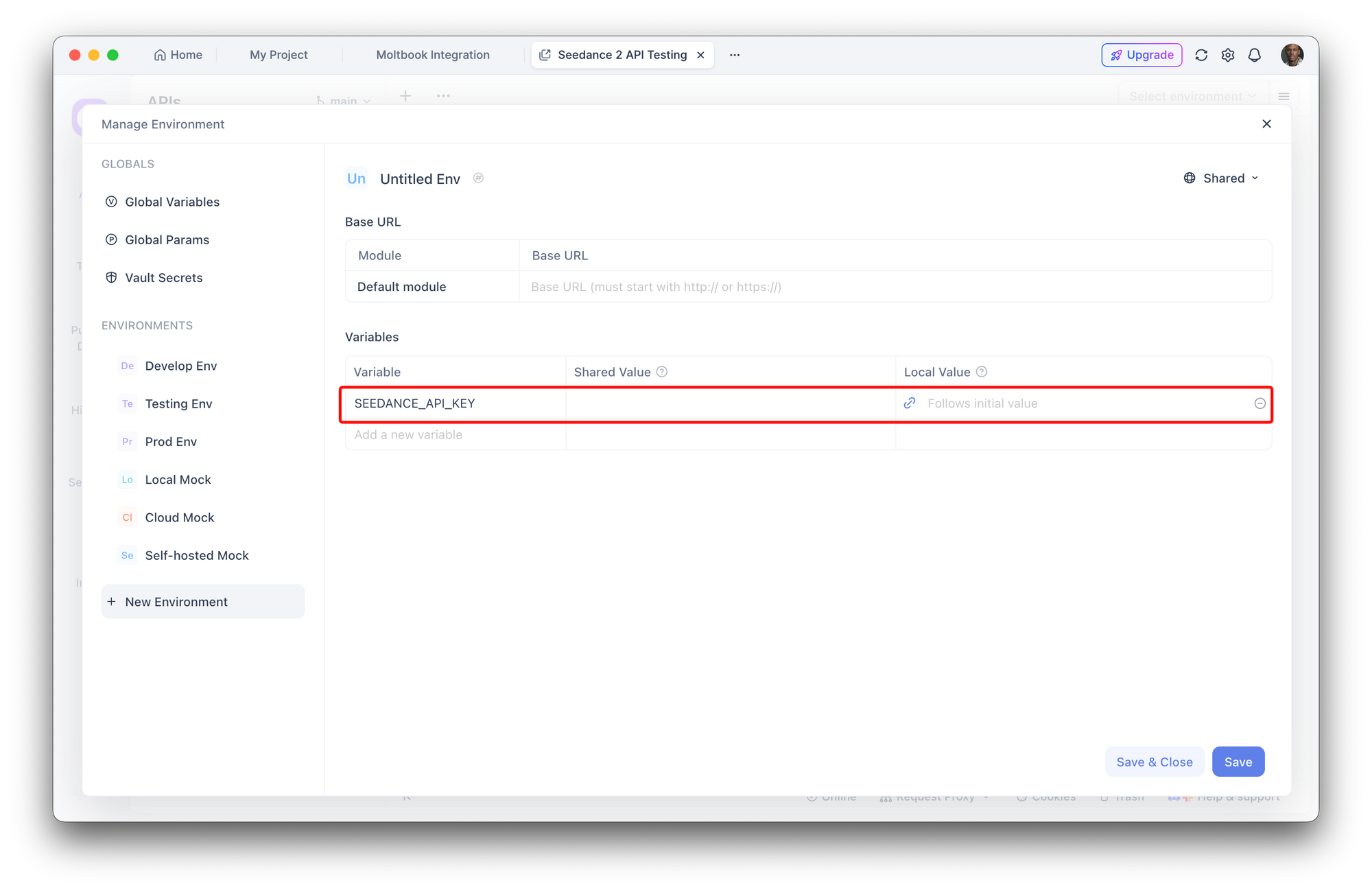 Apidog environment settings showing SEEDANCE_API_KEY configuration