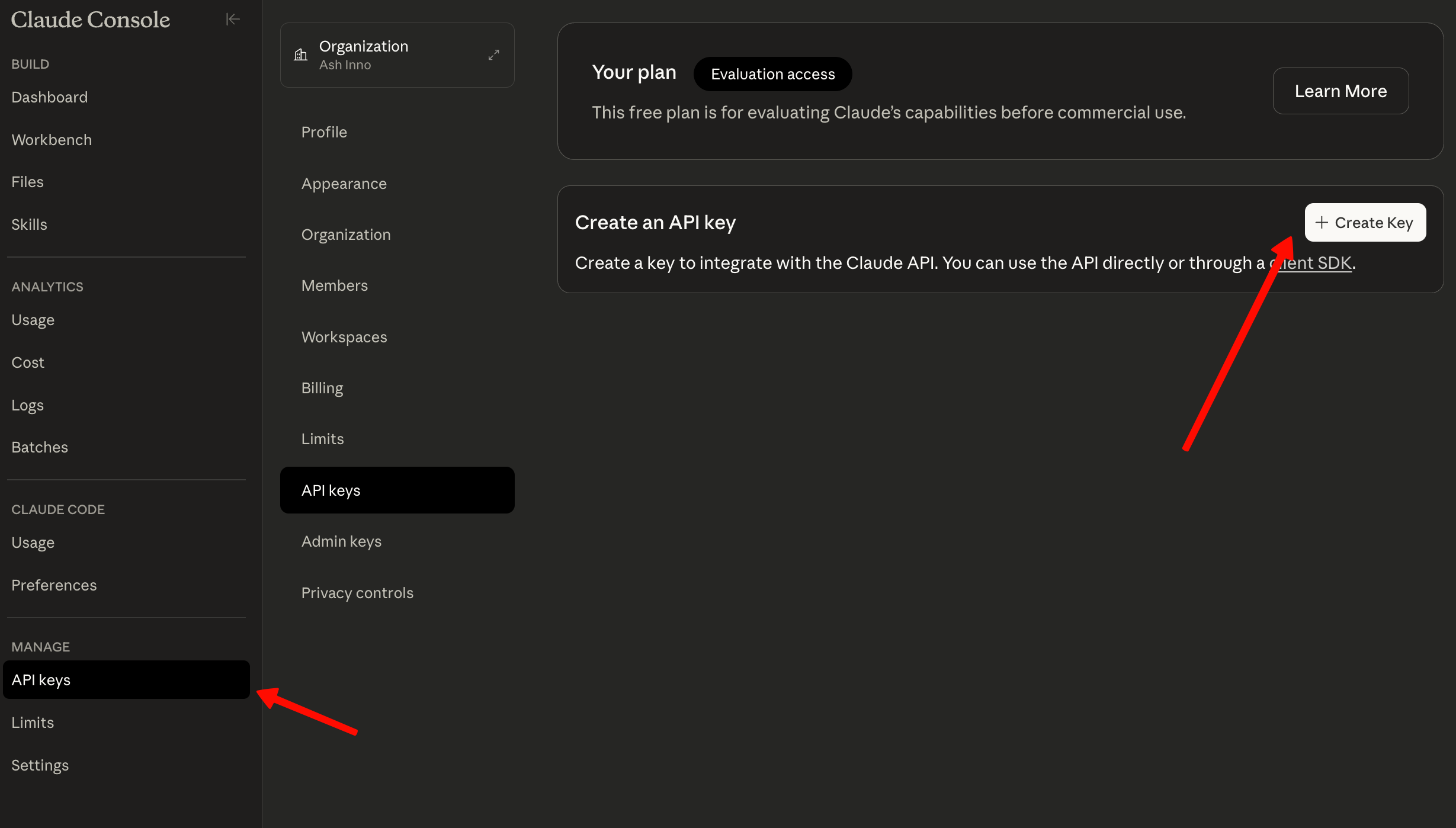 Claude Opus 4.6 on Anthropic API console platform
