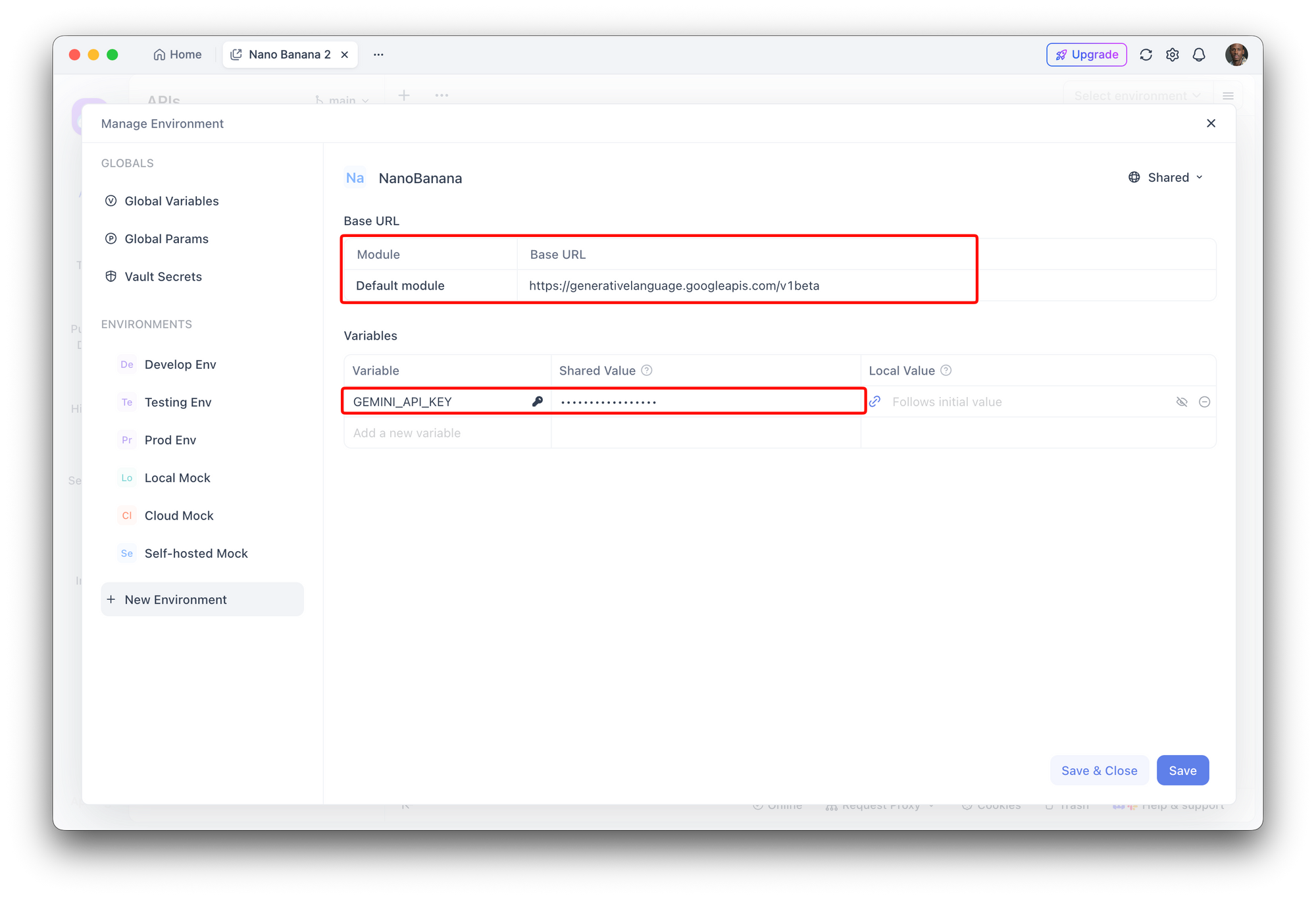 Add environment variables in Apidog