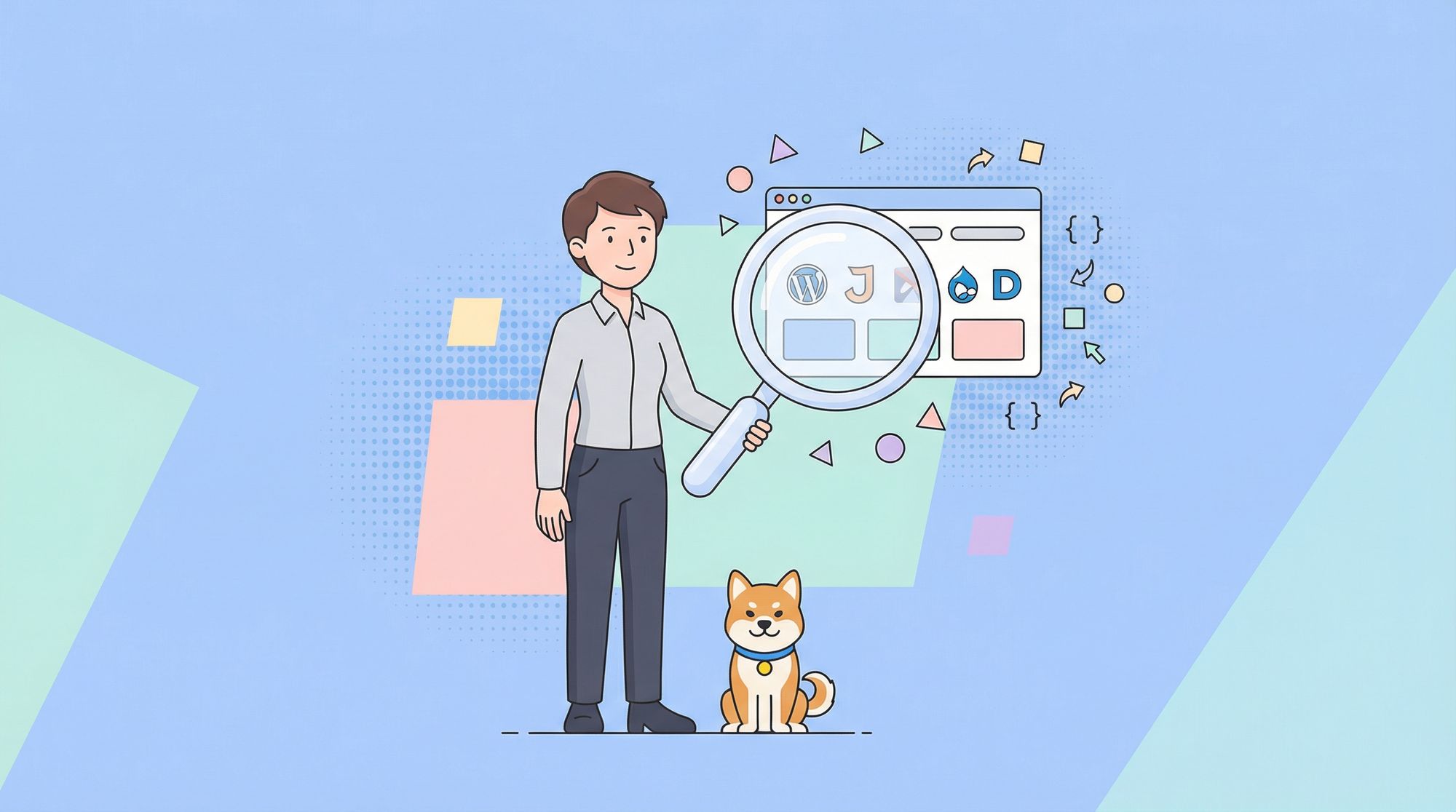 Whatcms.org API: Features, Pricing, and Deployment