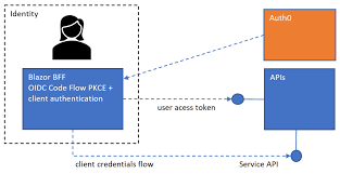 Monitoring Bearer Token-based APIs