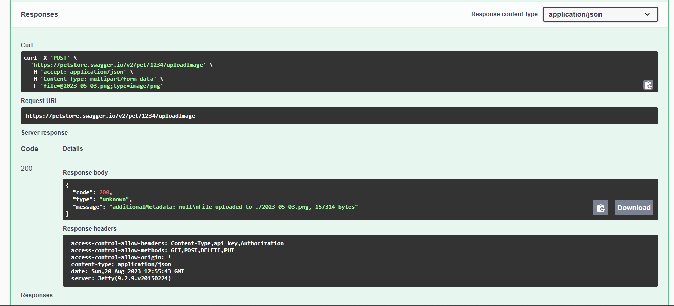 How To Change Swagger UI URL Defauth Path