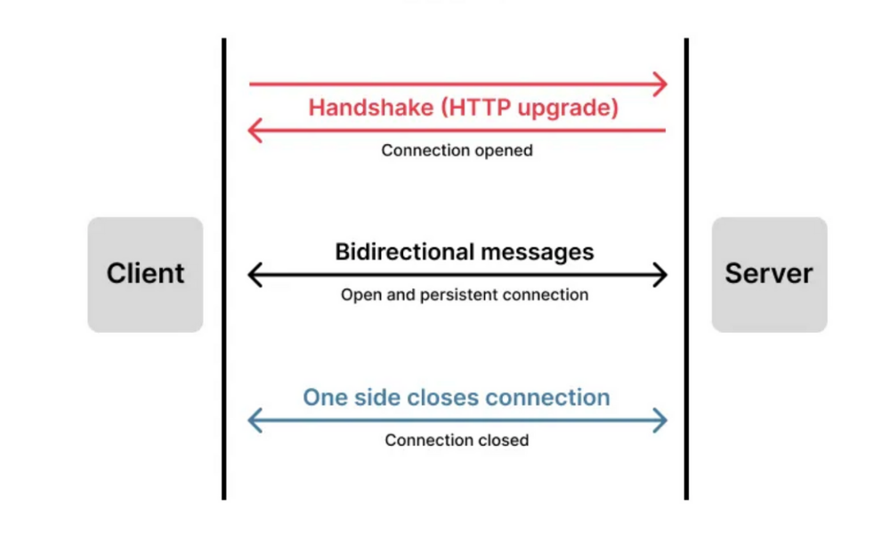 Webrtc Vs WebSocket What s The Differences Webrtc Vs WebSocket What s The Differences