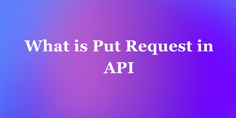 What is Put Request in API