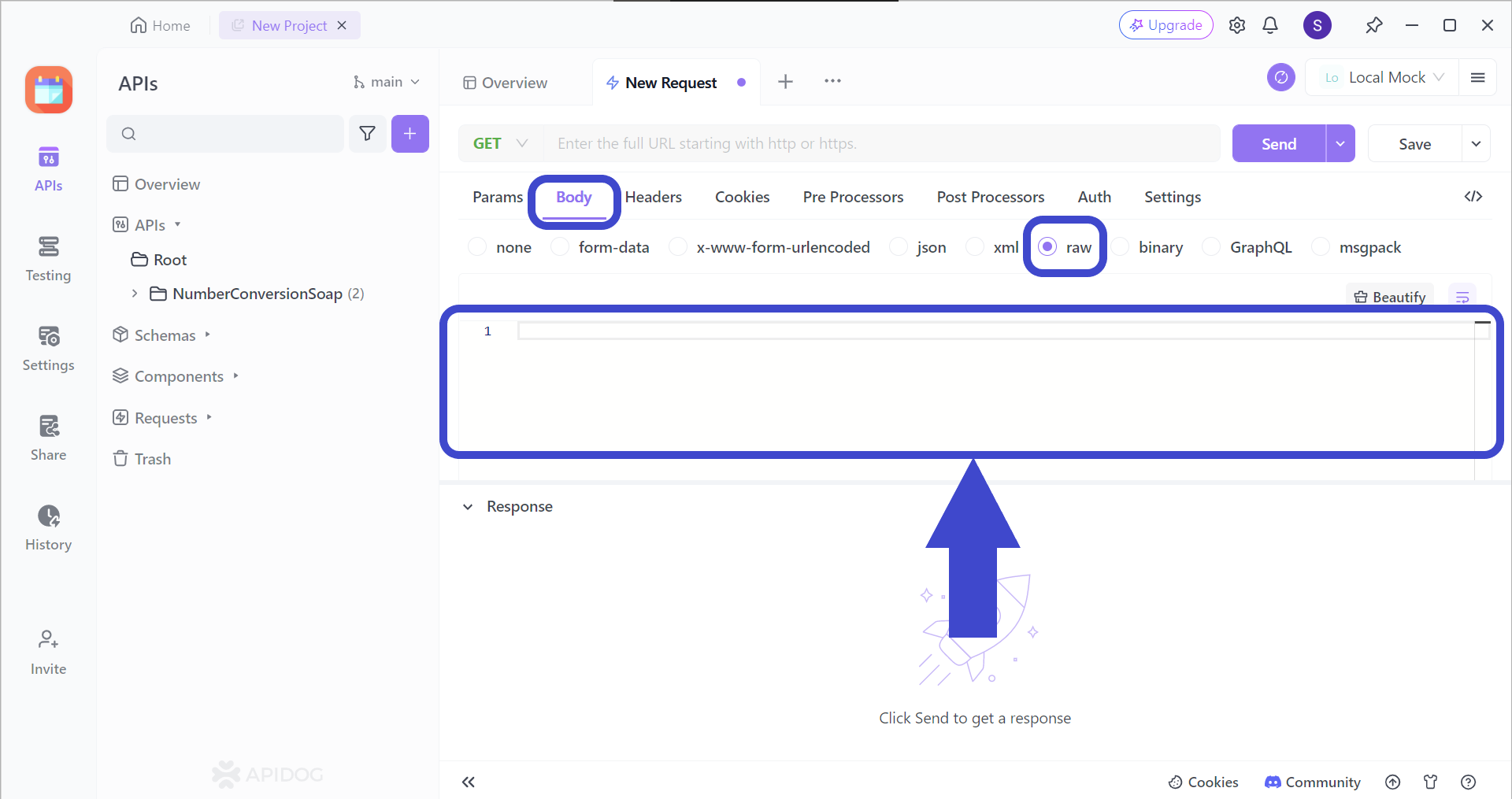 setting raw request body xml format apidog